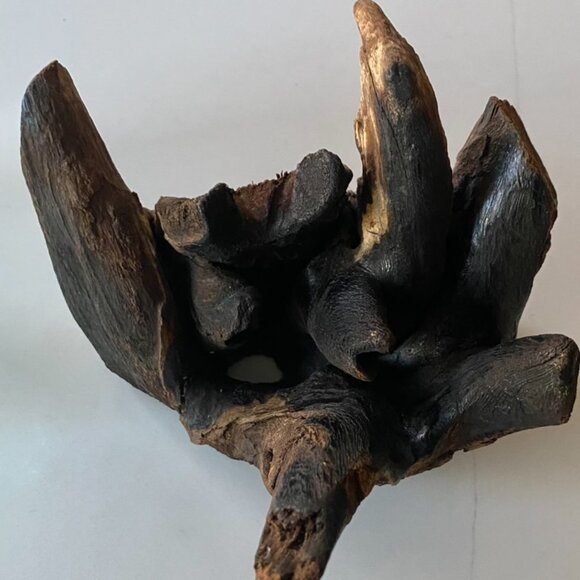 Handmade Art Glass Wood Vase Blown Molten Glass Bowl Teak Base Terrarium NEW - Picture 14 of 16